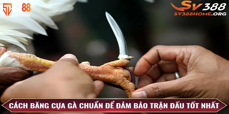 Phương pháp băng cựa chính xác